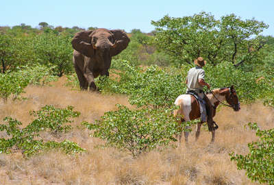 Safari équestre en Namibie