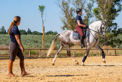 Travail sur le plat en dressage