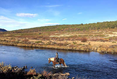 Rando à cheval d'été en norvège