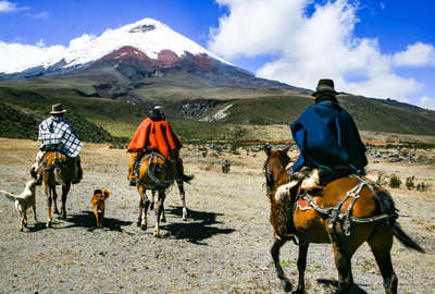 Volcan Cotopaxi à cheval