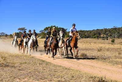 Waterberg à cheval