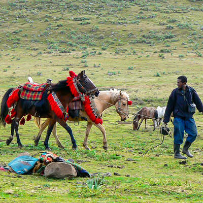 Camp équestre en Ethiopie