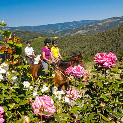 Cavaliers en Ardèche