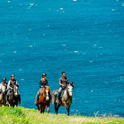 Cavaliers le long de la plage aux Açores