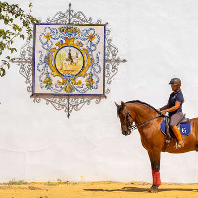 Dressage avec un lusitanien