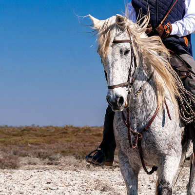 La Camargue à cheval