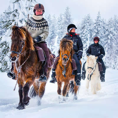 La Suède à cheval