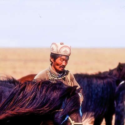 Mongolie à cheval