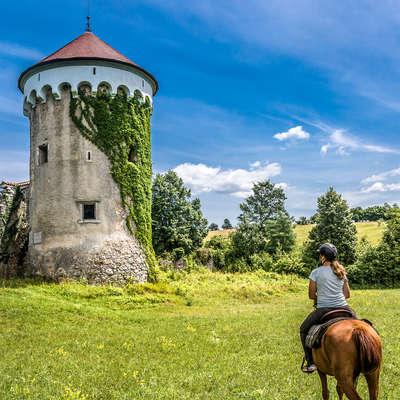 Paysages slovènes à cheval