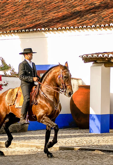 A cheval dans l'Alentejo