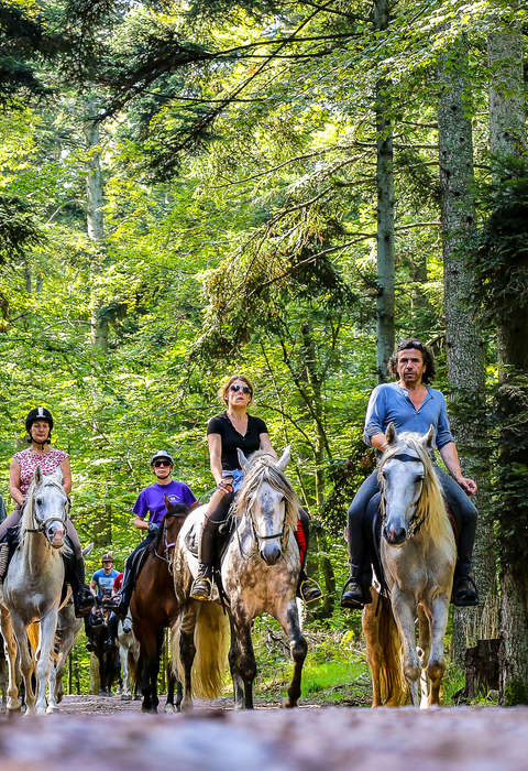Rando à cheval en Alsace Cavaliers en Alsace