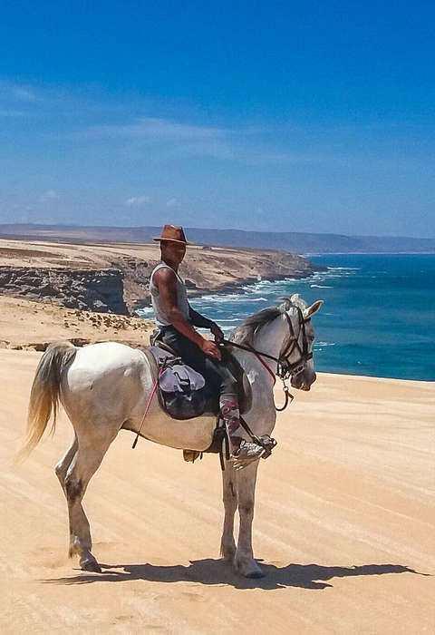 Côte sud du Maroc à cheval