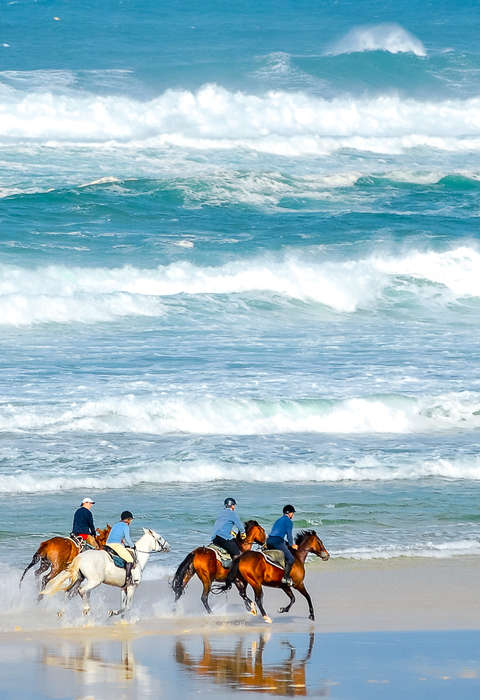 L'Aquitaine à cheval Galop sur la plage en Aquitaine