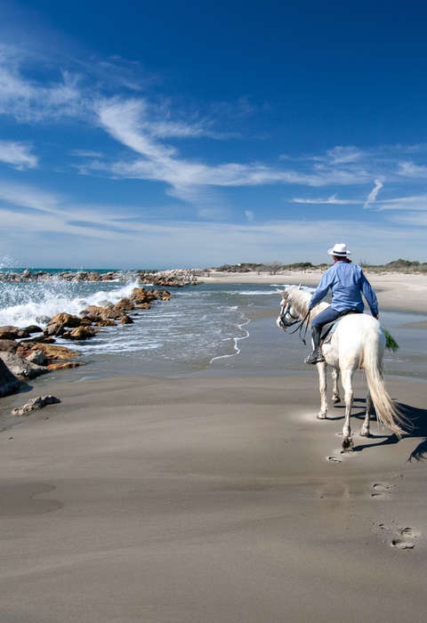 La Camargue à cheval