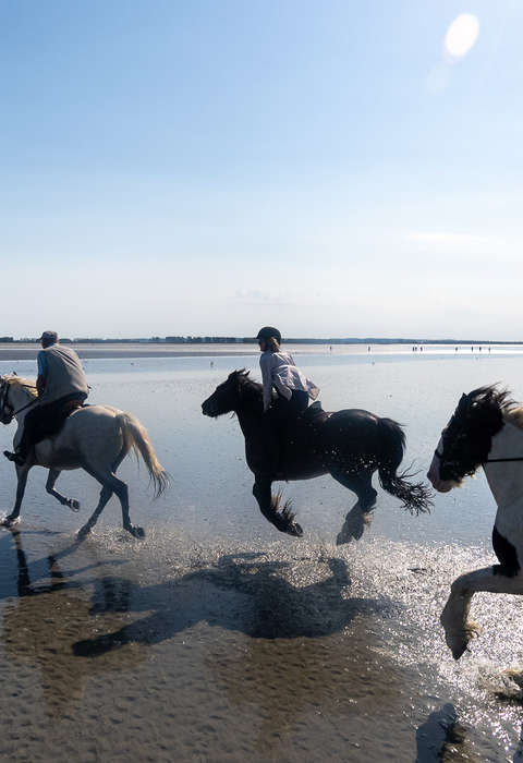 Le Mont Saint Michel au galop