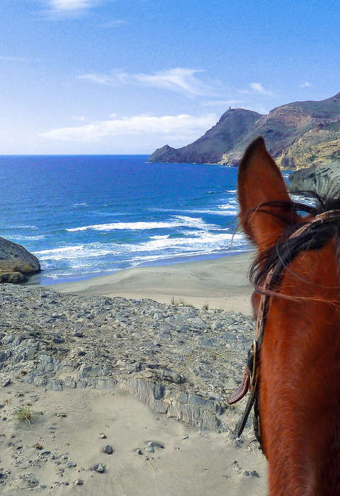 Les plages andalouses à cheval