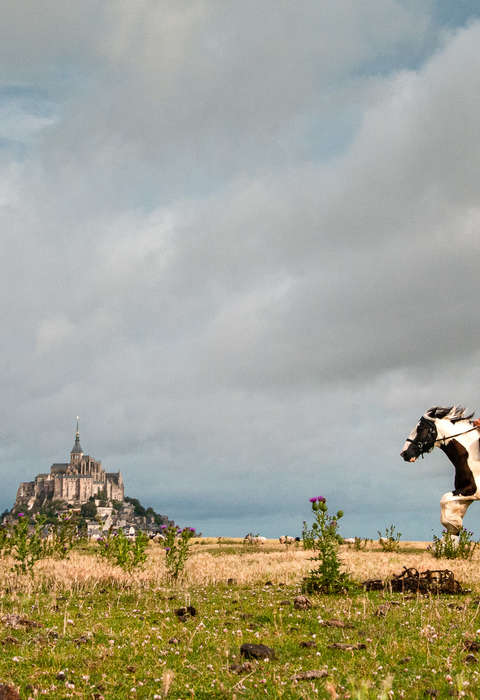 Mont Saint Michel à cheval