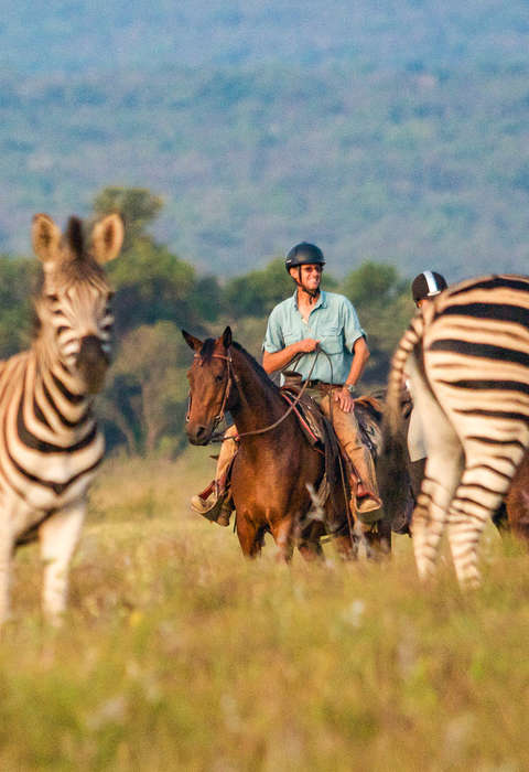 Safari à cheval en Afrique du Sud
