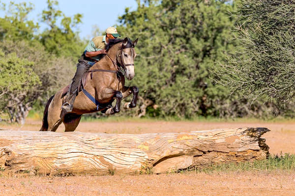 A cheval à Mashatu