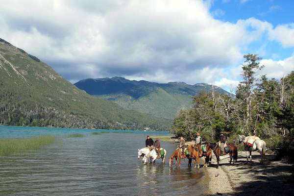 Chevaux et lac en Argentine