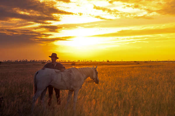 A cheval au Botswana