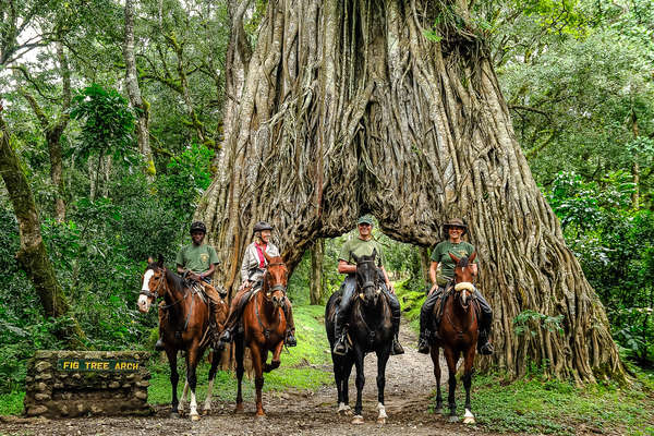 A cheval au cœur de la Tanzanie