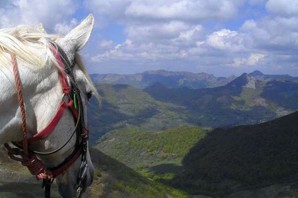 Massif central à cheval