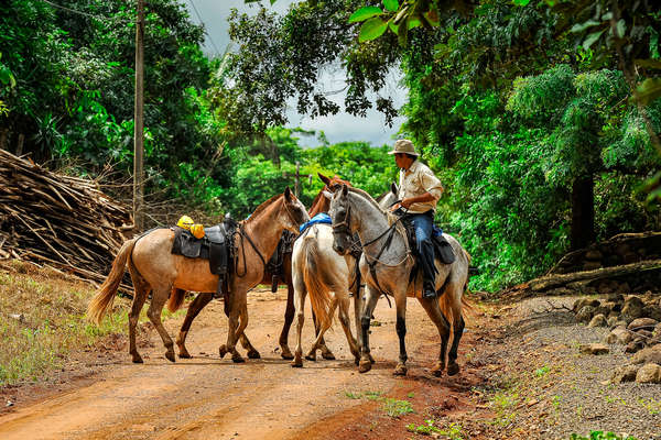 A cheval au Costa Rica