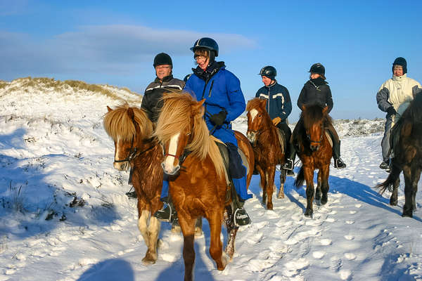 A cheval au Danemark