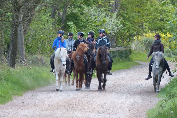 À cheval au Danemark