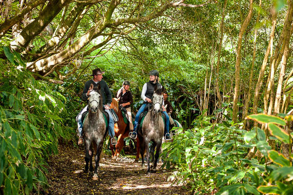 A cheval aux Açores