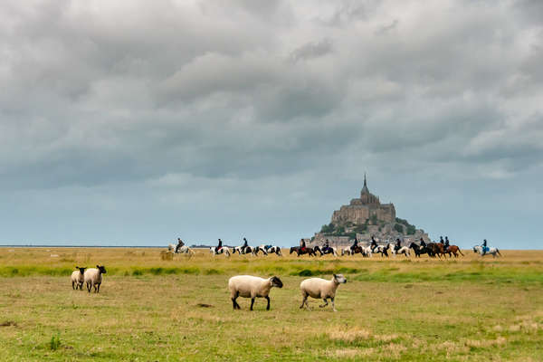 A cheval dans la baie du Mont Saint Michel