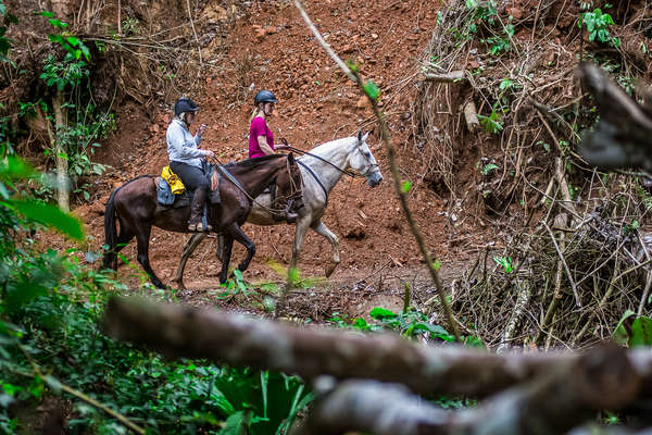 A cheval dans la forêt au Costa Rica