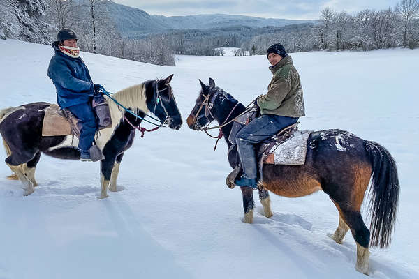 A cheval dans la neige