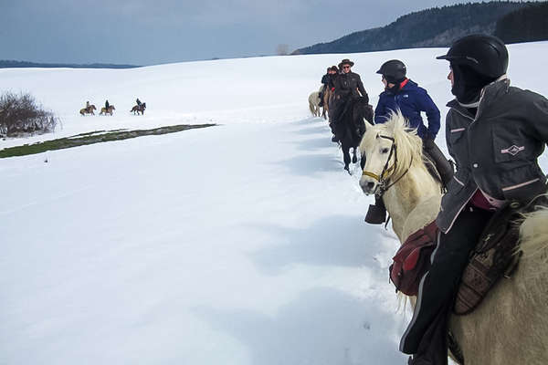 A cheval dans la neige