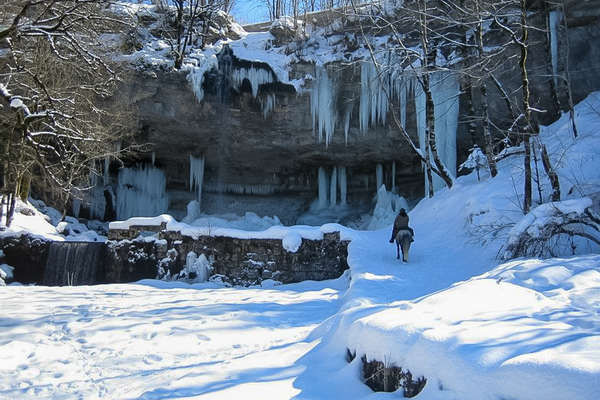 A cheval dans la neige