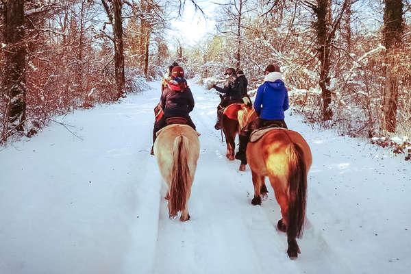 A cheval dans la neige