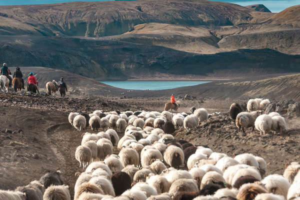 A cheval dans la vallée de l'Hekla