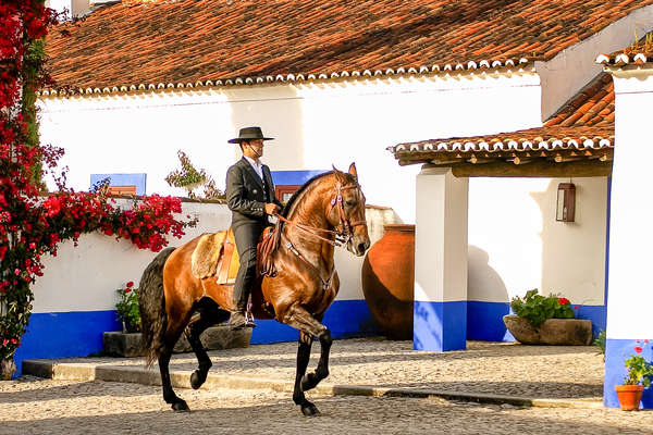 A cheval dans l'Alentejo