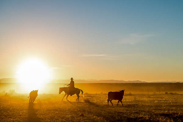 A cheval dans le Colorado