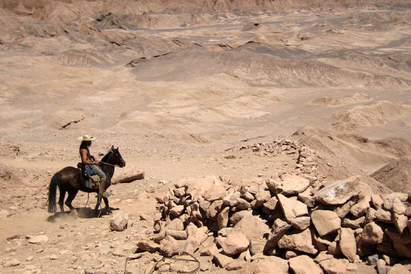 Rando à cheval dans le désert d'Atacama