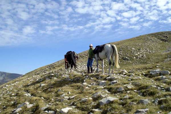 Cheval et massif des Monges