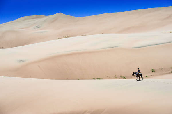 A cheval dans le paysage du Colorado