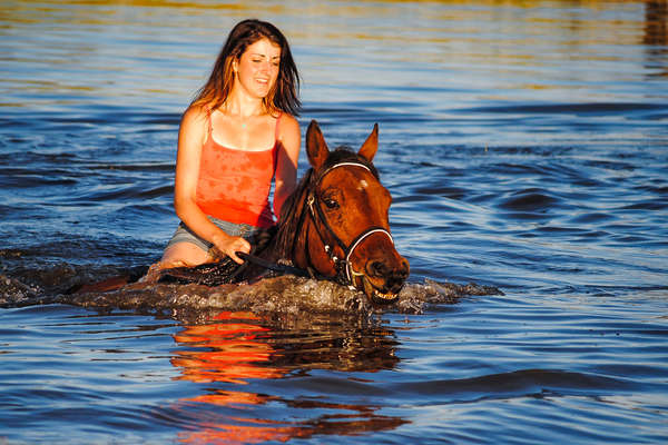 A cheval dans l'eau