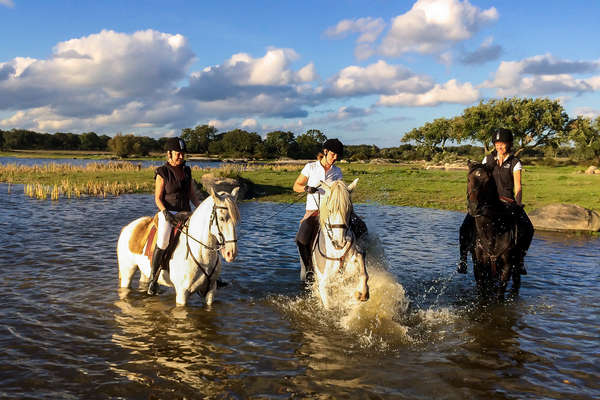 A cheval dans l'eau au Portugal
