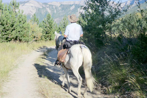 Rando équestre Haute Provence