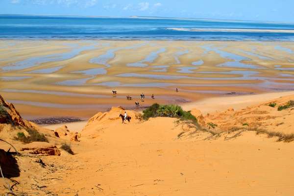 Chevaux dans les dunes du Mozambique