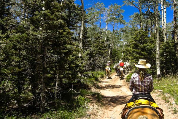 A cheval dans les forêts du Colorado