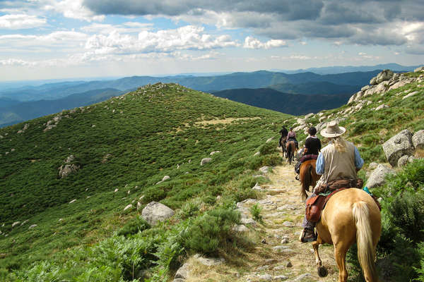 A cheval dans les montagnes de l'Auvergne