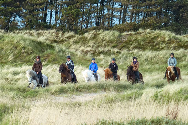 A cheval dans les paysages danois